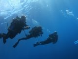 Scuba diving at Gordo Banks