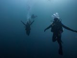 Diver swimming underwater