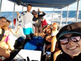 diving trip to Gordo Banks, Cabo San Lucas Mexico