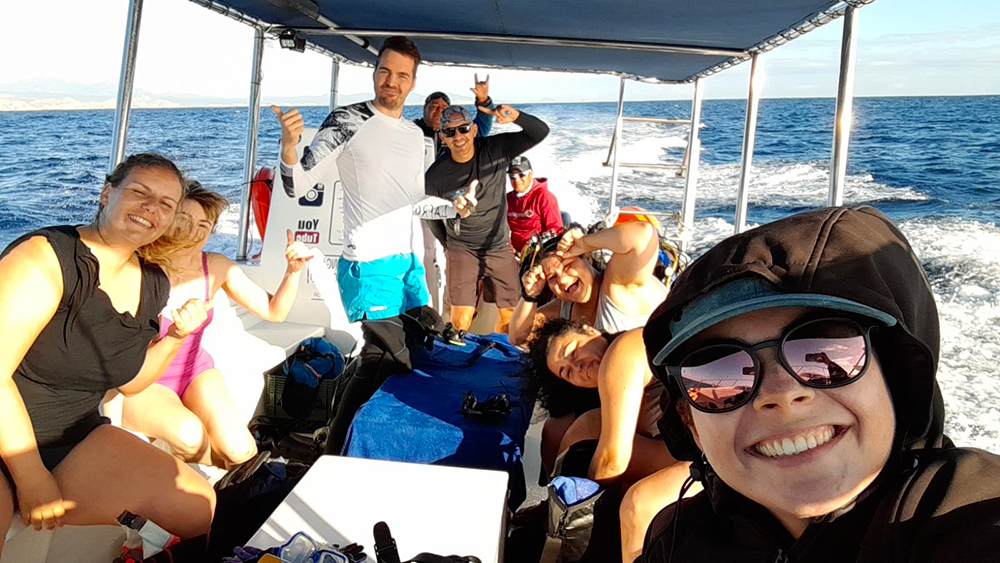 diving trip to Gordo Banks, Cabo San Lucas Mexico