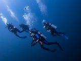 Group of scuba diver at Gordo Banks